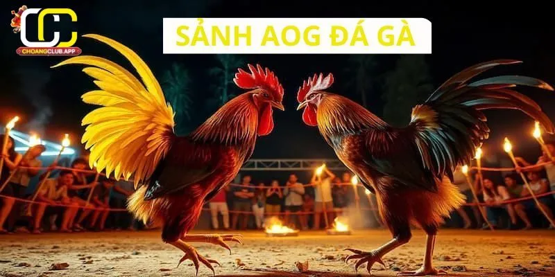 Các Lưu Ý Quan Trọng Khi Tham Gia AOG Đá Gà Trên Choangclub